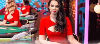 Grafik mingguan cashback tigerslot168 menunjukkan rincian taruhan dan pengembalian